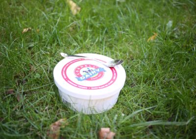 Cornell Dairy Logo